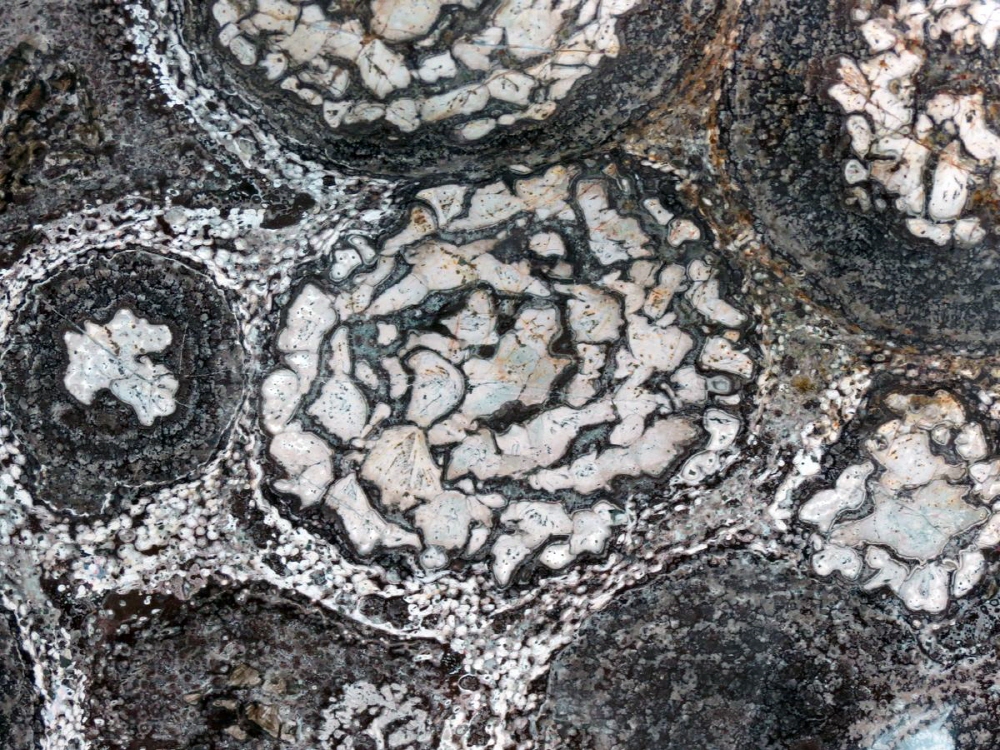 46cf04c82205c4953835bdb8f6626ad0_1758279088_29.jpg 46cf04c82205c4953835bdb8f6626ad0_1758279088_29.jpg