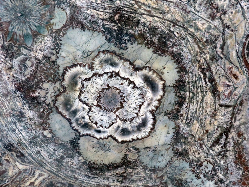 46cf04c82205c4953835bdb8f6626ad0_1758279088_47.jpg 46cf04c82205c4953835bdb8f6626ad0_1758279088_47.jpg