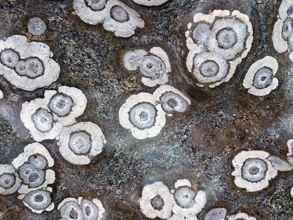 46cf04c82205c4953835bdb8f6626ad0_1758279088_65.jpg 46cf04c82205c4953835bdb8f6626ad0_1758279088_65.jpg