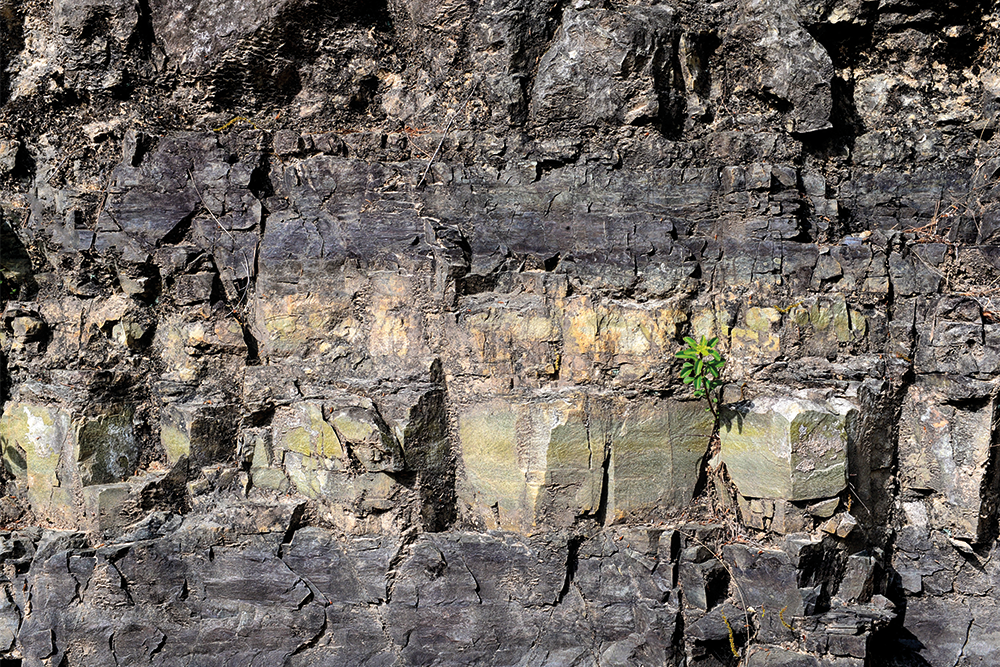 46cf04c82205c4953835bdb8f6626ad0_1758280631_62.png 46cf04c82205c4953835bdb8f6626ad0_1758280631_62.png