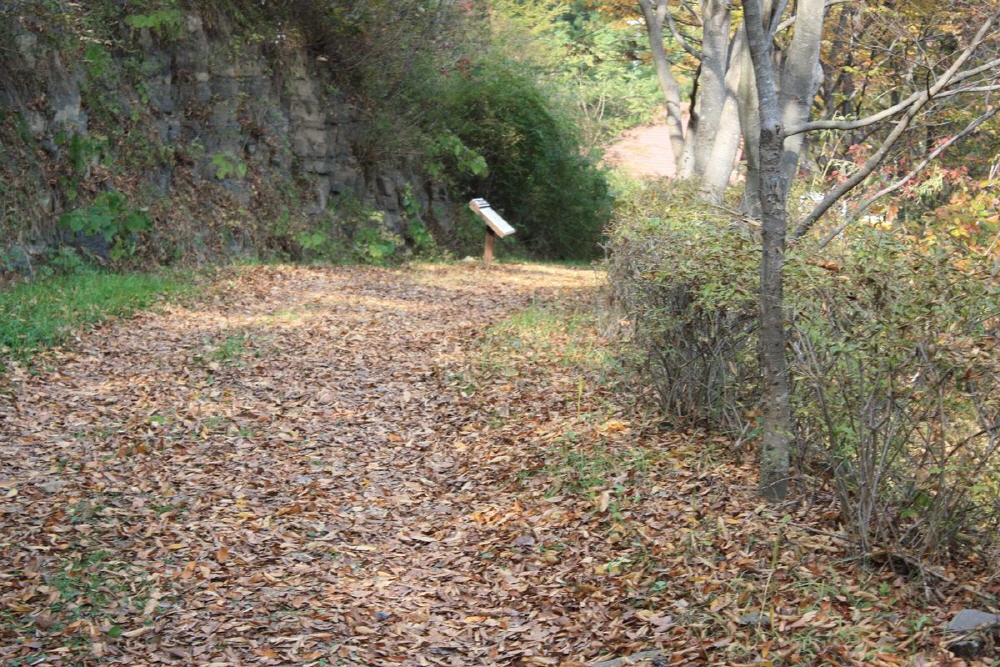 46cf04c82205c4953835bdb8f6626ad0_1758280632_26.jpg 46cf04c82205c4953835bdb8f6626ad0_1758280632_26.jpg