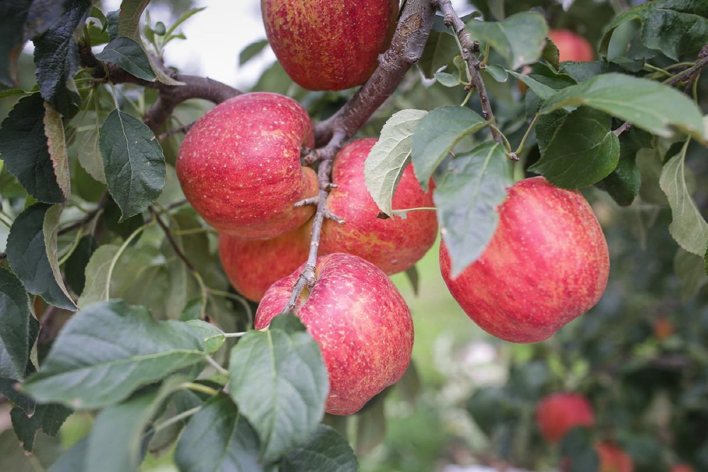 46cf04c82205c4953835bdb8f6626ad0_1758287536_95.jpg 46cf04c82205c4953835bdb8f6626ad0_1758287536_95.jpg