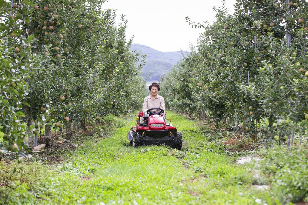 46cf04c82205c4953835bdb8f6626ad0_1758287537_13.jpg 46cf04c82205c4953835bdb8f6626ad0_1758287537_13.jpg