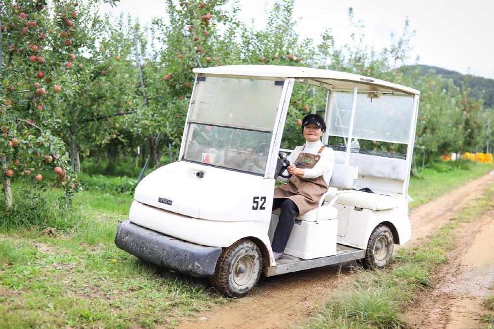 46cf04c82205c4953835bdb8f6626ad0_1758289836_37.jpg 46cf04c82205c4953835bdb8f6626ad0_1758289836_37.jpg