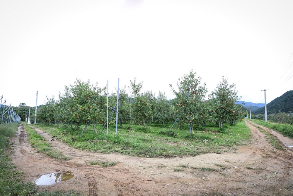 46cf04c82205c4953835bdb8f6626ad0_1758289837_41.jpg 46cf04c82205c4953835bdb8f6626ad0_1758289837_41.jpg