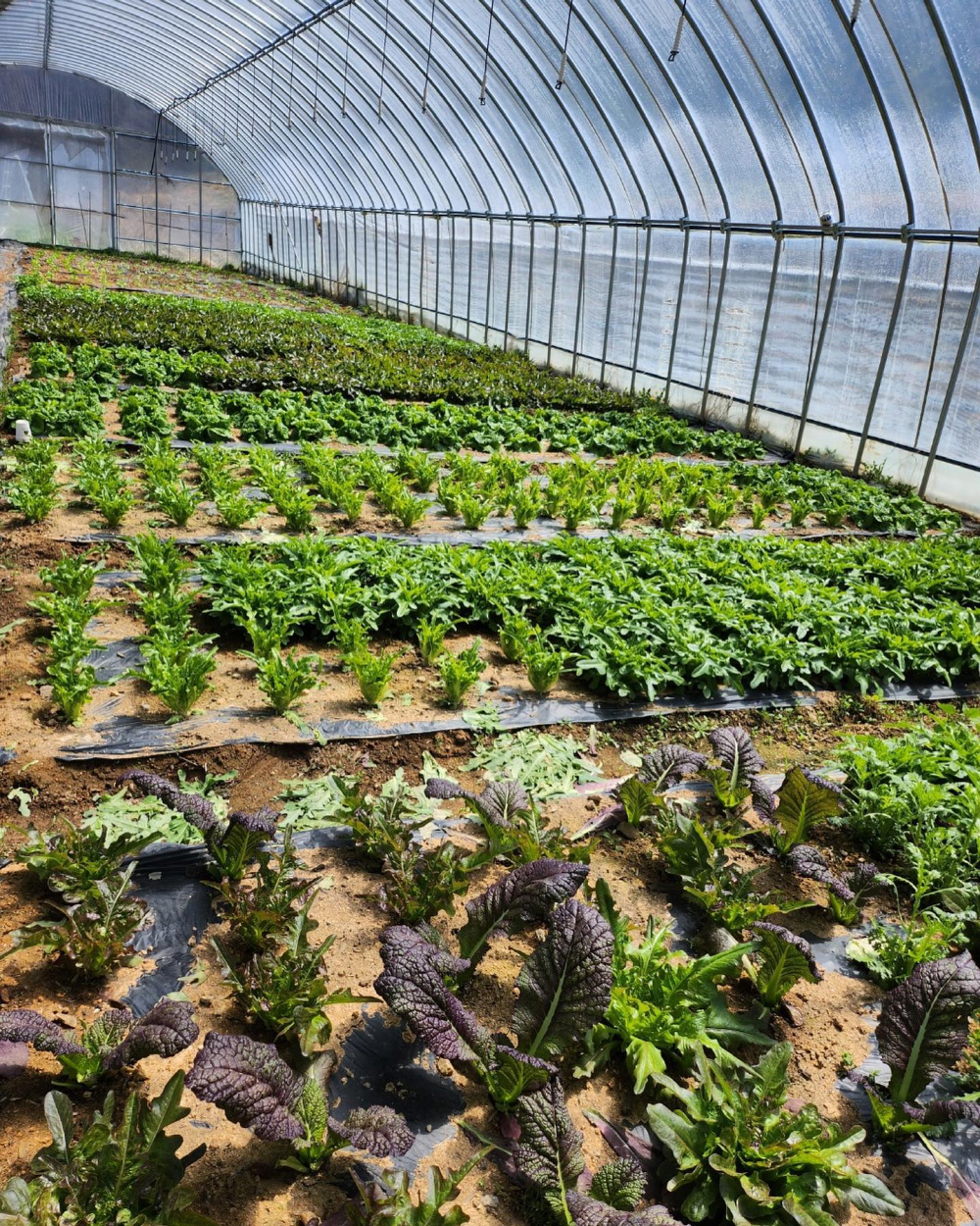 5855e4c4e1e2113ae4d013e1048705c3_1757919787_95.jpg 5855e4c4e1e2113ae4d013e1048705c3_1757919787_95.jpg