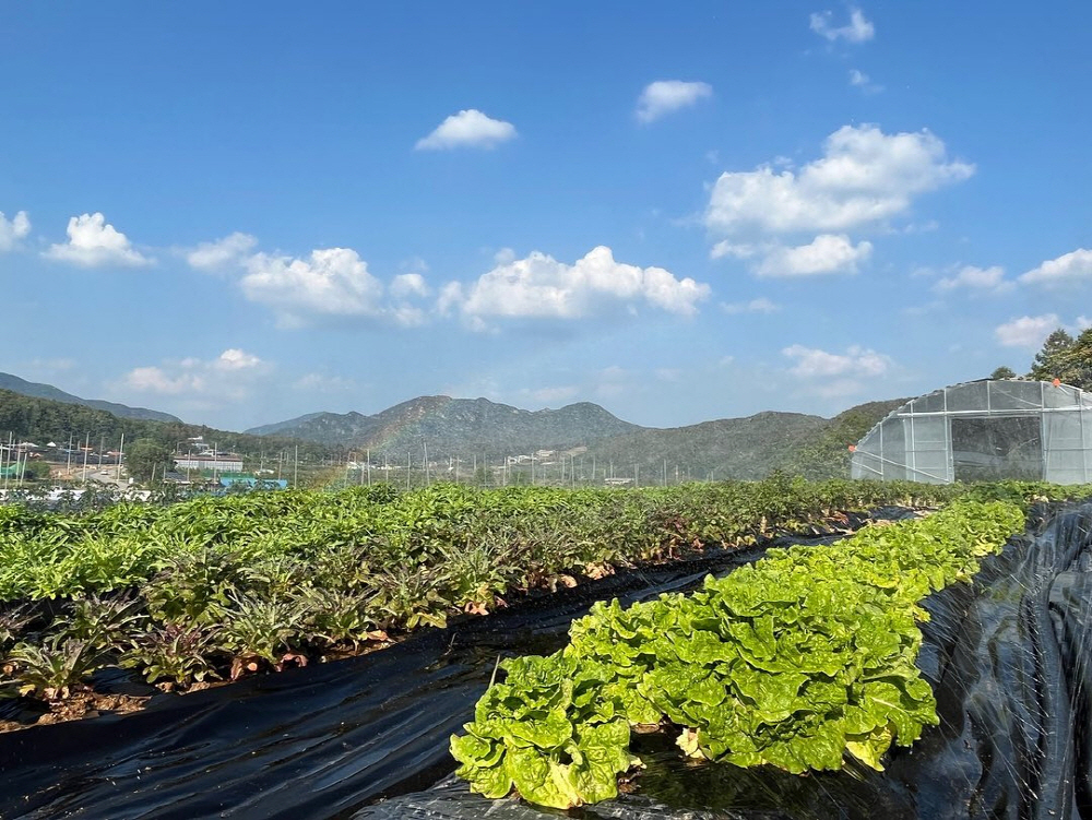 5855e4c4e1e2113ae4d013e1048705c3_1757919792_05.jpg 5855e4c4e1e2113ae4d013e1048705c3_1757919792_05.jpg