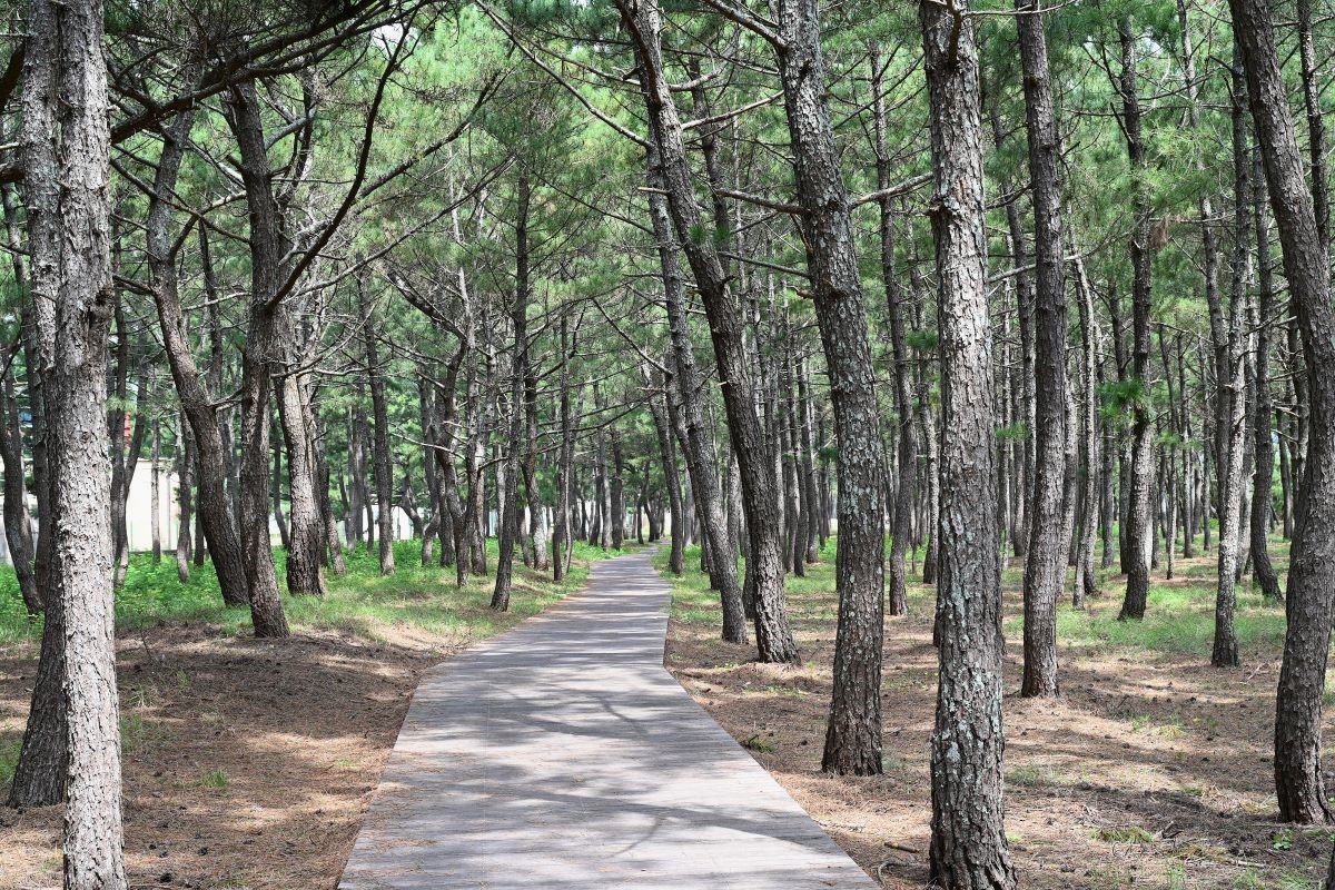 61fa7dda131f9aff8a22709388fd1e82_1757393234_29.jpg 61fa7dda131f9aff8a22709388fd1e82_1757393234_29.jpg