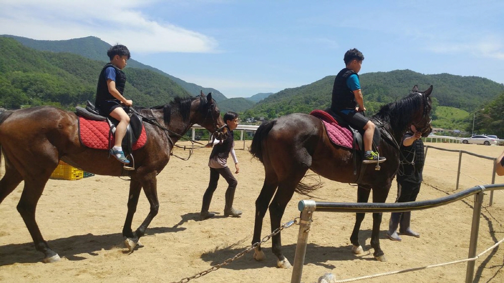 809d5e0e7c02dcd525250d4ee6938267_1758371392_9.jpg 809d5e0e7c02dcd525250d4ee6938267_1758371392_9.jpg