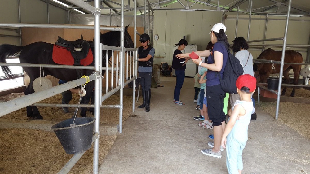 809d5e0e7c02dcd525250d4ee6938267_1758371394_05.jpg 809d5e0e7c02dcd525250d4ee6938267_1758371394_05.jpg