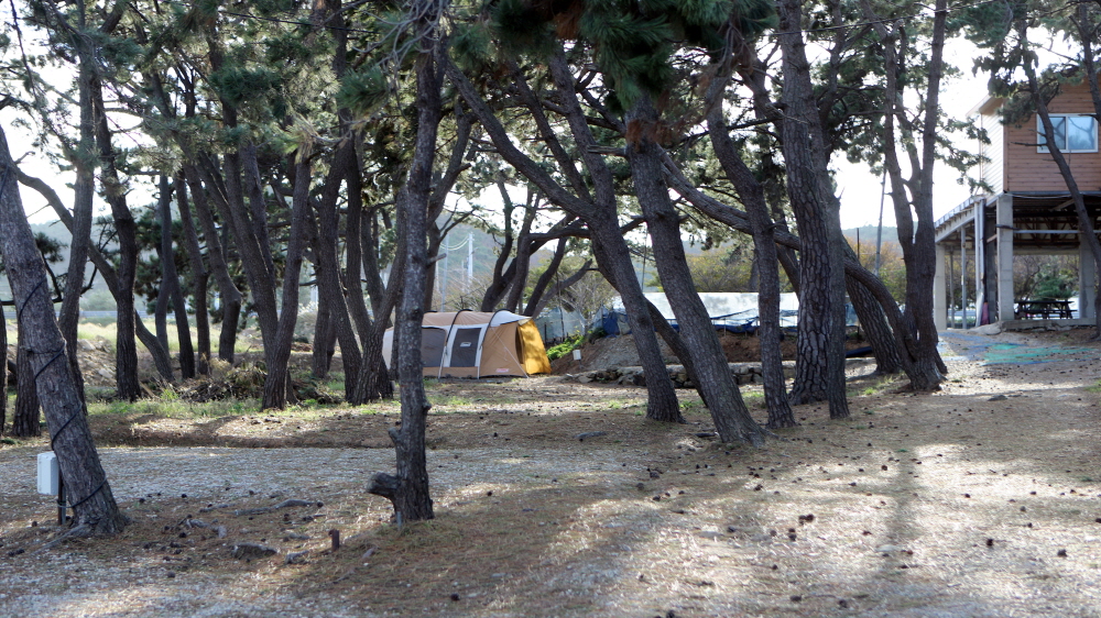 9cf90ffcdce5c48623122b3b4f5c2979_1757042515_44.jpg 9cf90ffcdce5c48623122b3b4f5c2979_1757042515_44.jpg