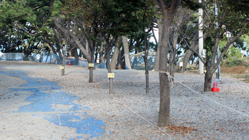 9cf90ffcdce5c48623122b3b4f5c2979_1757042515_92.jpg 9cf90ffcdce5c48623122b3b4f5c2979_1757042515_92.jpg