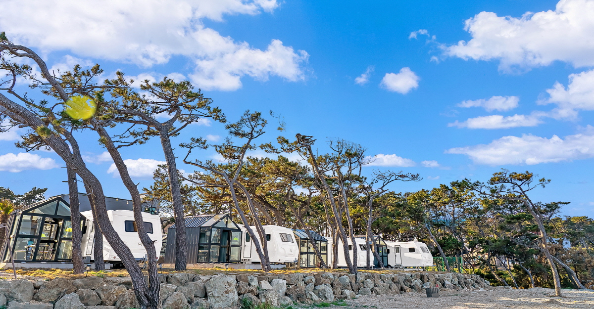 9cf90ffcdce5c48623122b3b4f5c2979_1757047158_4.jpg 9cf90ffcdce5c48623122b3b4f5c2979_1757047158_4.jpg