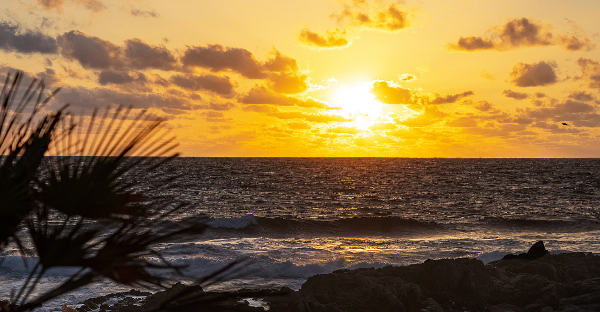 9cf90ffcdce5c48623122b3b4f5c2979_1757047159_22.jpg 9cf90ffcdce5c48623122b3b4f5c2979_1757047159_22.jpg