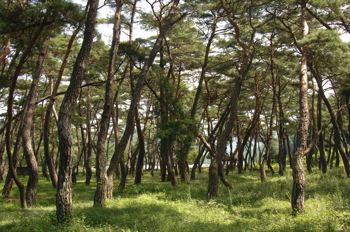 a896a7ebb51bc0e43a45d3b953fdbf19_1758111231_36.jpg a896a7ebb51bc0e43a45d3b953fdbf19_1758111231_36.jpg