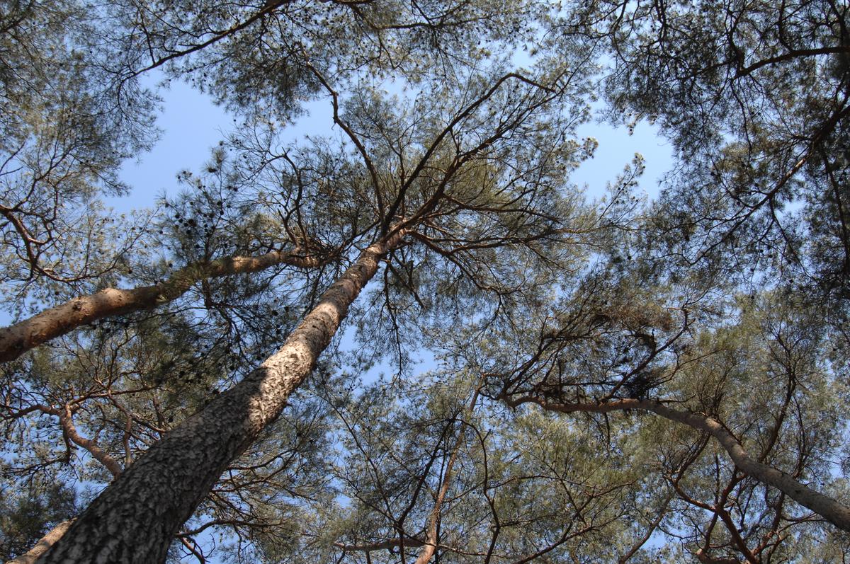 a896a7ebb51bc0e43a45d3b953fdbf19_1758111231_47.jpg a896a7ebb51bc0e43a45d3b953fdbf19_1758111231_47.jpg