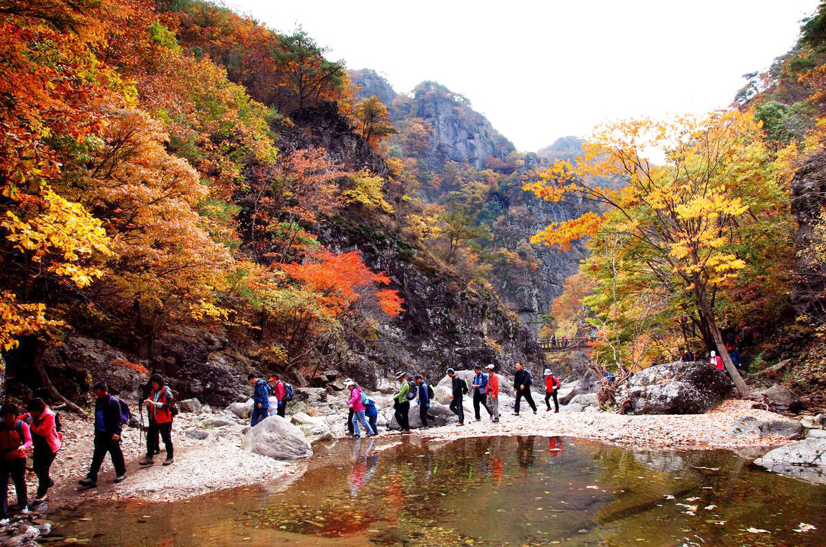 a896a7ebb51bc0e43a45d3b953fdbf19_1758113475_39.jpg a896a7ebb51bc0e43a45d3b953fdbf19_1758113475_39.jpg