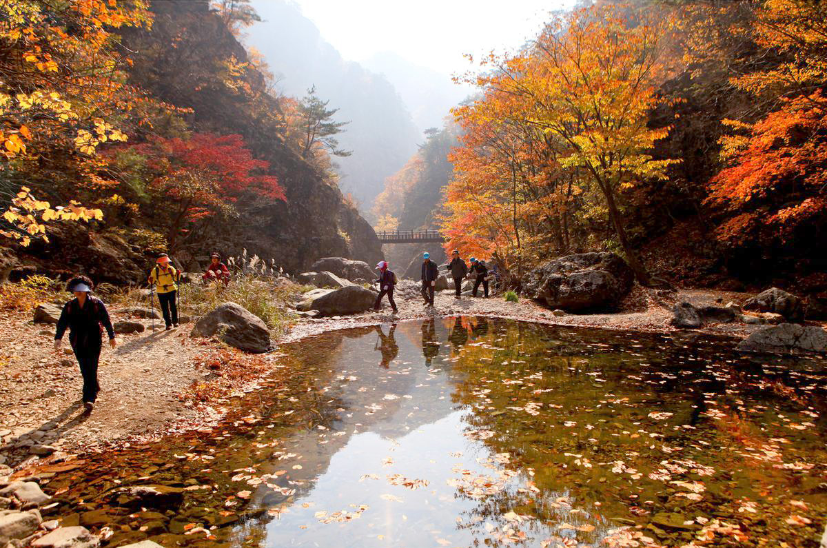 a896a7ebb51bc0e43a45d3b953fdbf19_1758113475_56.jpg a896a7ebb51bc0e43a45d3b953fdbf19_1758113475_56.jpg