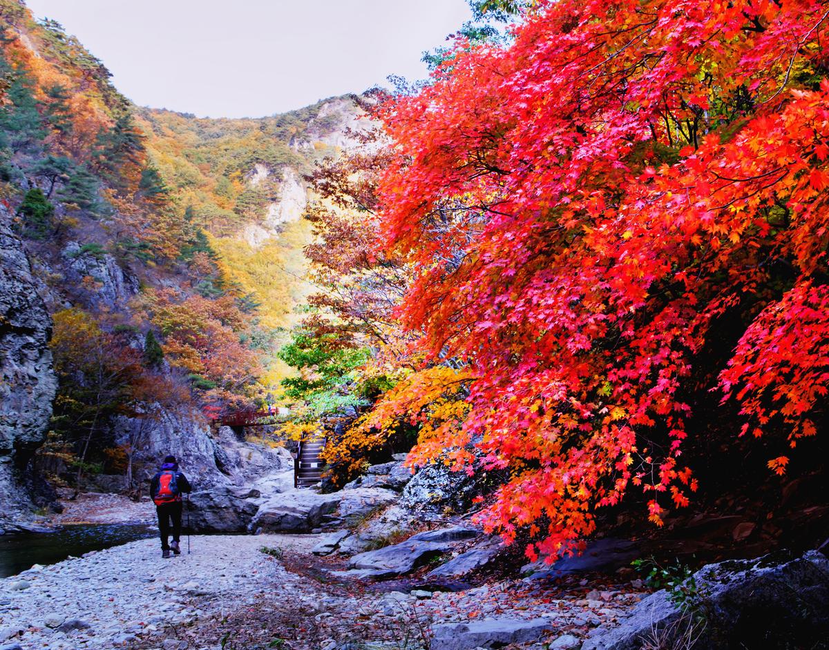 a896a7ebb51bc0e43a45d3b953fdbf19_1758113476_14.jpg a896a7ebb51bc0e43a45d3b953fdbf19_1758113476_14.jpg