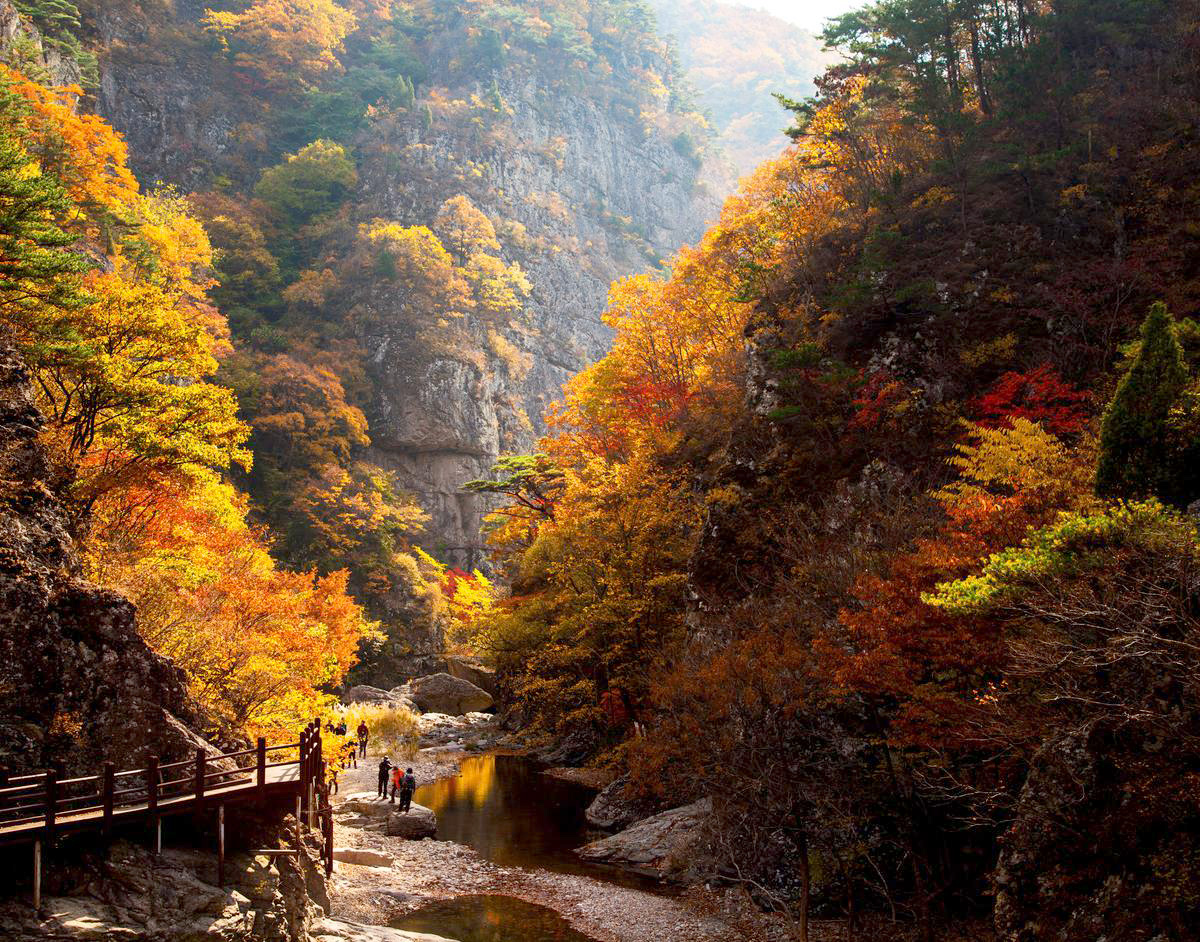 a896a7ebb51bc0e43a45d3b953fdbf19_1758113476_35.jpg a896a7ebb51bc0e43a45d3b953fdbf19_1758113476_35.jpg