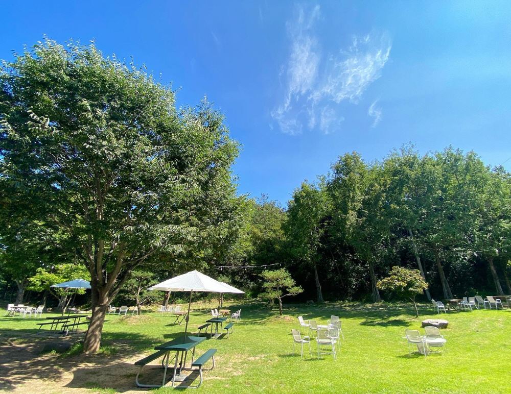 df4c8c8aaf15055a952b23b1661c02cf_1758182745_53.jpg df4c8c8aaf15055a952b23b1661c02cf_1758182745_53.jpg