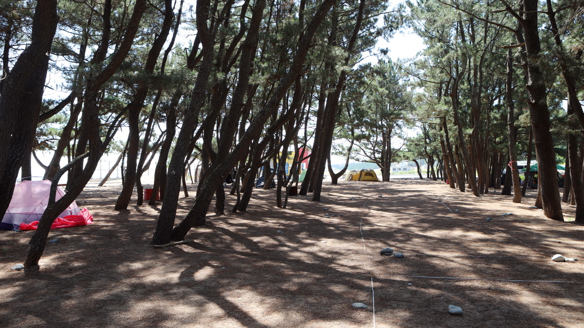 e0e03abca2ad121459b705d1de4f1cf5_1757004337_62.jpg e0e03abca2ad121459b705d1de4f1cf5_1757004337_62.jpg