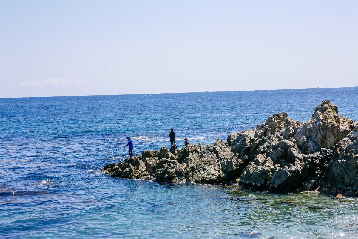 eb36dbf9cd87133b19ddfcab0ae1ade8_1757315730_61.jpg eb36dbf9cd87133b19ddfcab0ae1ade8_1757315730_61.jpg