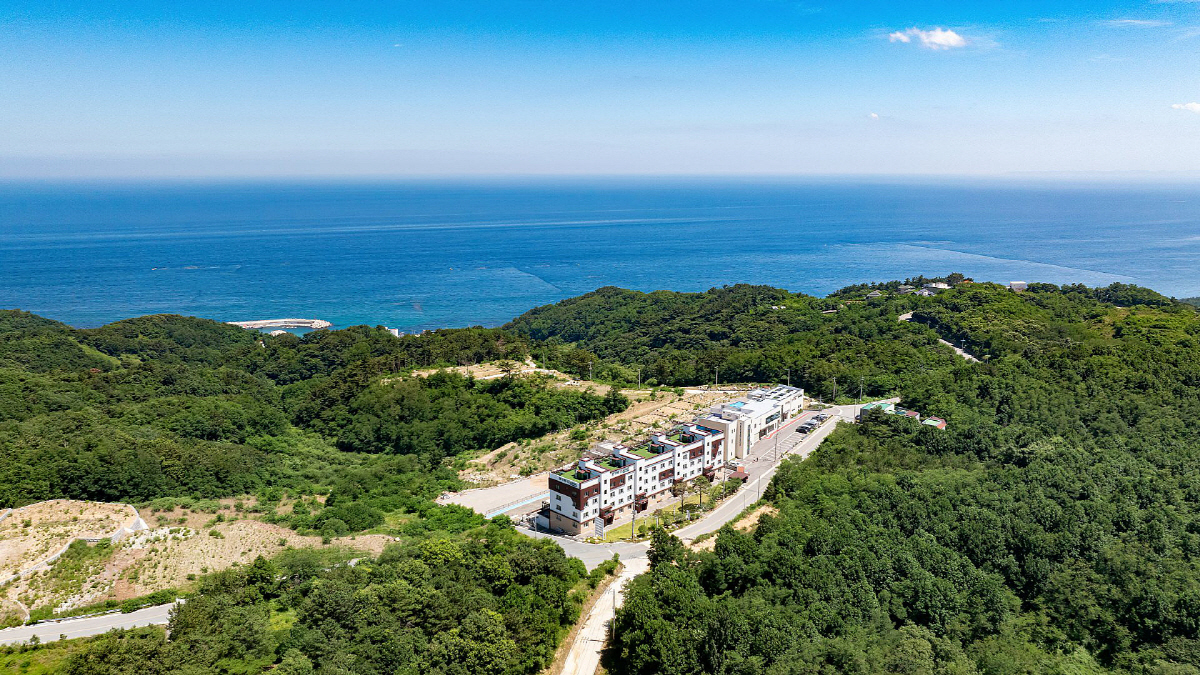 fe044d55a469909bd6beb717391dc07e_1757756535_6.jpg fe044d55a469909bd6beb717391dc07e_1757756535_6.jpg