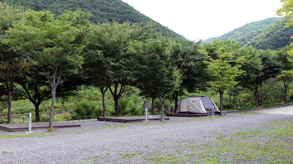 feb6109617d3129258d574ea7abed48b_1757156739_61.jpg feb6109617d3129258d574ea7abed48b_1757156739_61.jpg