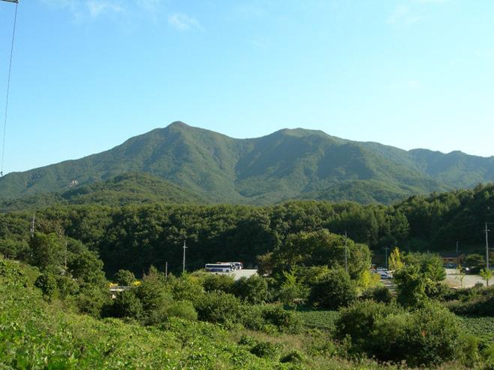 63676a7328aa395930182a728fa39136_1761577581_05.jpg 63676a7328aa395930182a728fa39136_1761577581_05.jpg