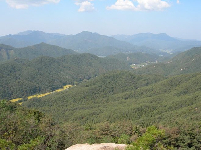 63676a7328aa395930182a728fa39136_1761579540_76.jpg 63676a7328aa395930182a728fa39136_1761579540_76.jpg