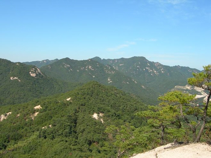 63676a7328aa395930182a728fa39136_1761580555_13.jpg 63676a7328aa395930182a728fa39136_1761580555_13.jpg