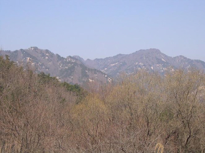 63676a7328aa395930182a728fa39136_1761580555_28.jpg 63676a7328aa395930182a728fa39136_1761580555_28.jpg