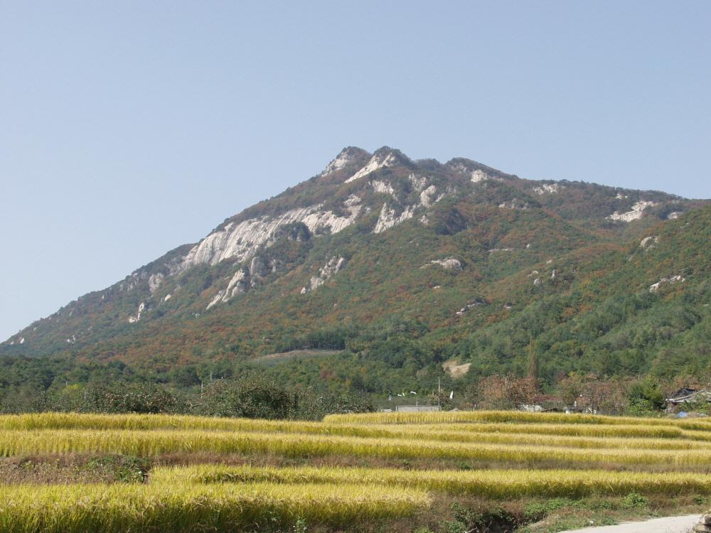 63676a7328aa395930182a728fa39136_1761582304_68.jpg 63676a7328aa395930182a728fa39136_1761582304_68.jpg