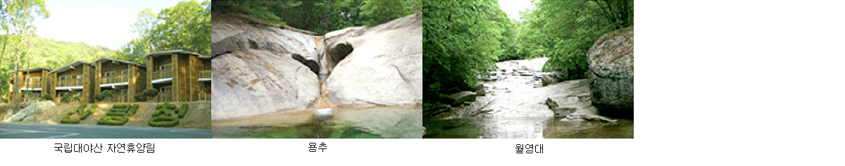 63676a7328aa395930182a728fa39136_1761597622_43.jpg 63676a7328aa395930182a728fa39136_1761597622_43.jpg