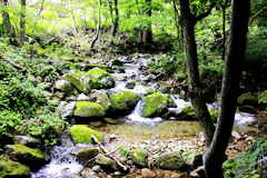 b64e488c81e9304be7eeacb6eec5f0fa_1761537829_45.png b64e488c81e9304be7eeacb6eec5f0fa_1761537829_45.png