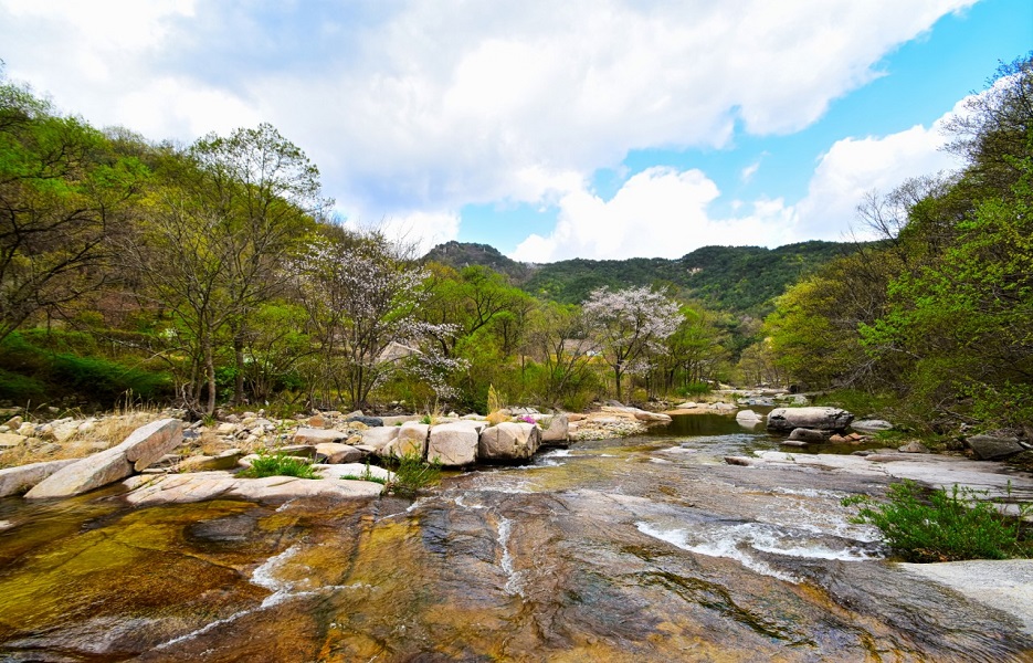 e9de850e9c568b70920ae29d12219808_1761448578_44.jpg e9de850e9c568b70920ae29d12219808_1761448578_44.jpg