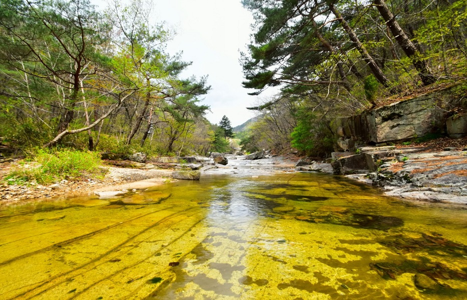 e9de850e9c568b70920ae29d12219808_1761448578_82.jpg e9de850e9c568b70920ae29d12219808_1761448578_82.jpg