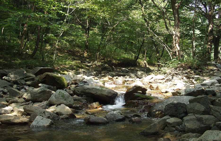 e9de850e9c568b70920ae29d12219808_1761449728_82.jpg e9de850e9c568b70920ae29d12219808_1761449728_82.jpg