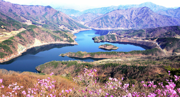 e9de850e9c568b70920ae29d12219808_1761454318_01.png e9de850e9c568b70920ae29d12219808_1761454318_01.png