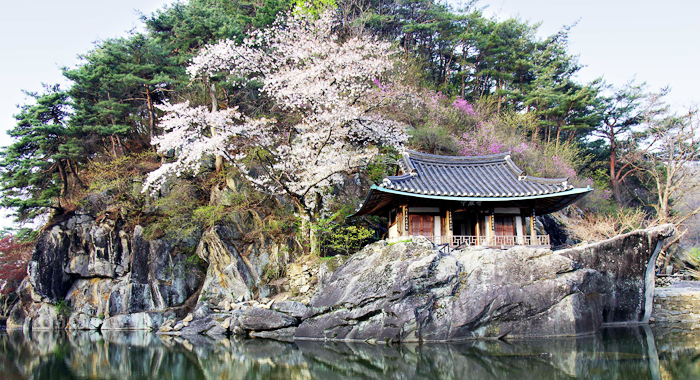 e9de850e9c568b70920ae29d12219808_1761456035_89.png e9de850e9c568b70920ae29d12219808_1761456035_89.png