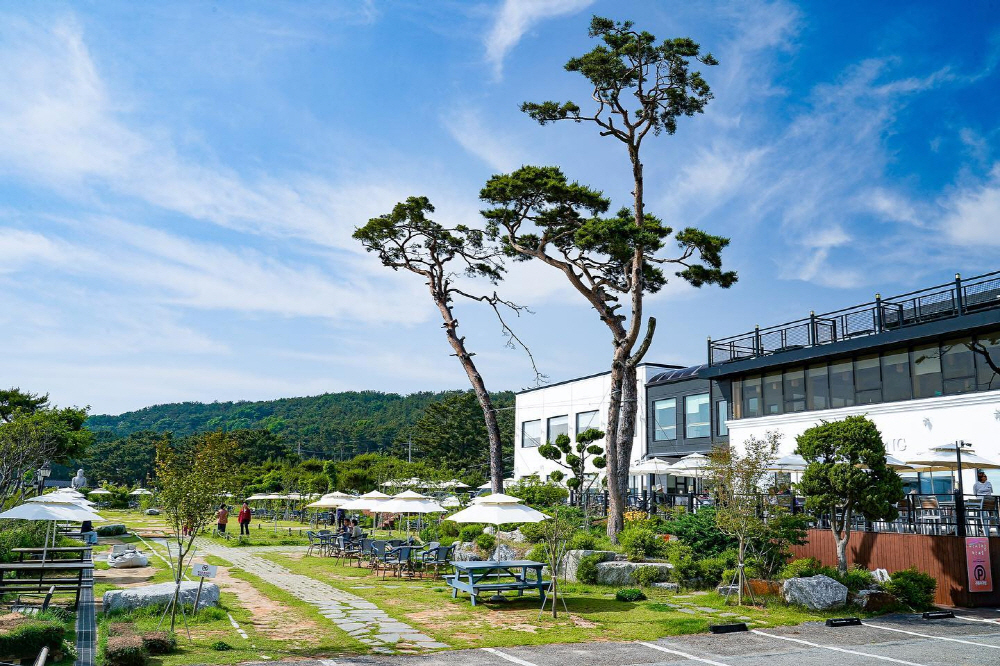 ea531cee8febed752ab7ead25f9476f1_1760224759_01.jpg ea531cee8febed752ab7ead25f9476f1_1760224759_01.jpg