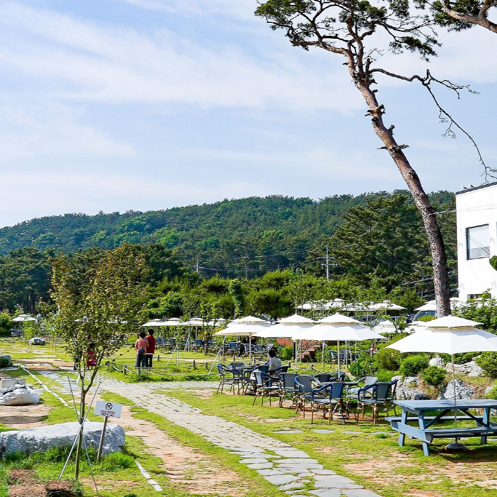 ea531cee8febed752ab7ead25f9476f1_1760224759_87.jpg ea531cee8febed752ab7ead25f9476f1_1760224759_87.jpg