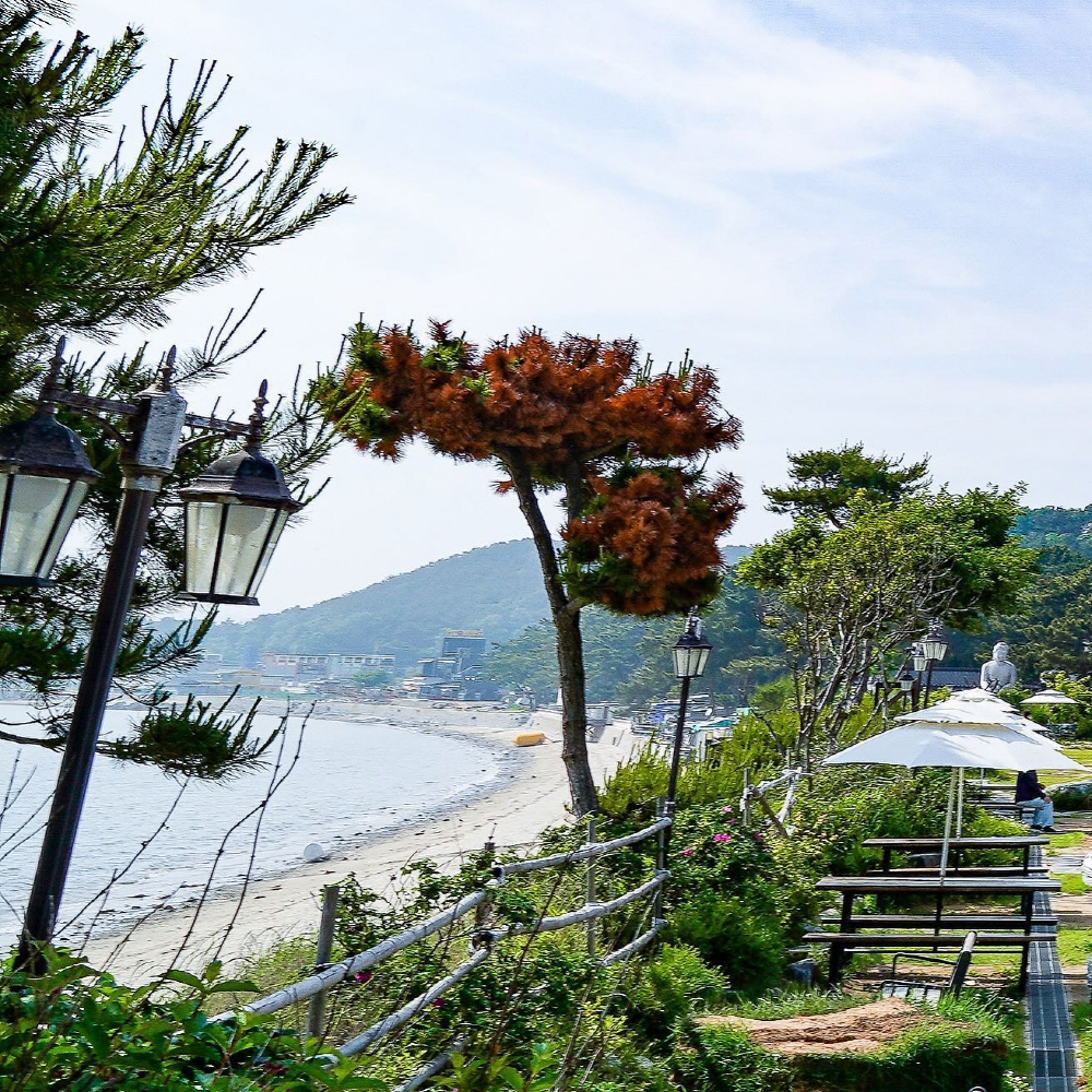 ea531cee8febed752ab7ead25f9476f1_1760224760_26.jpg ea531cee8febed752ab7ead25f9476f1_1760224760_26.jpg