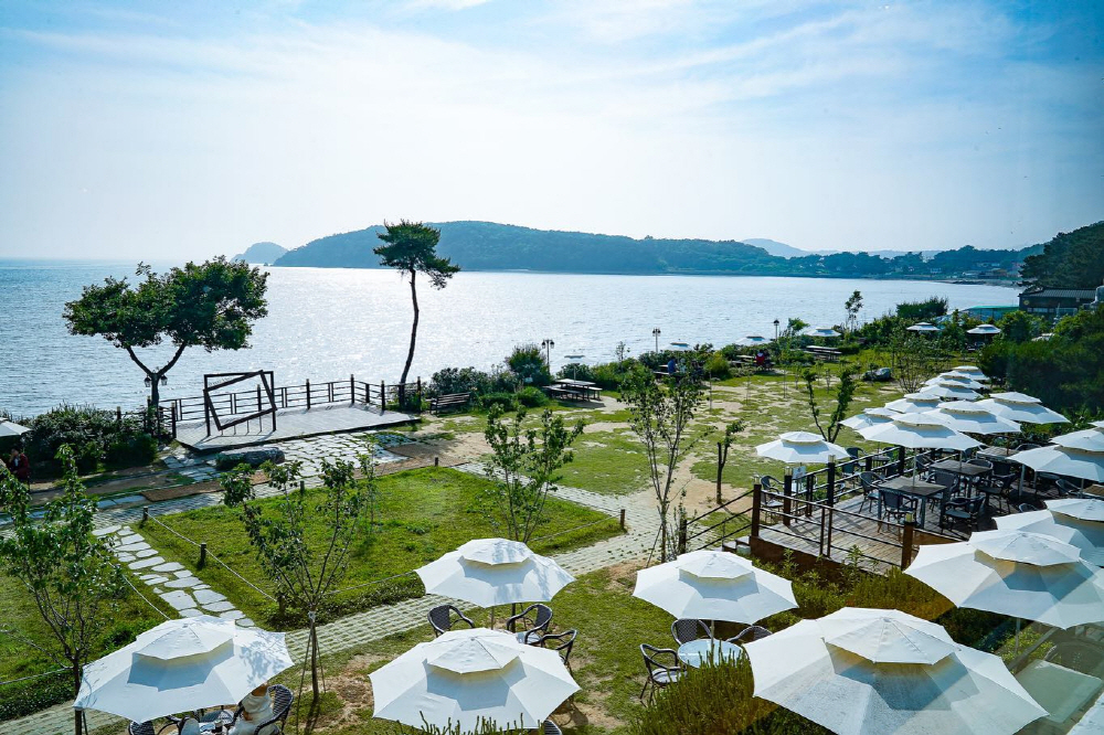 ea531cee8febed752ab7ead25f9476f1_1760224761_41.jpg ea531cee8febed752ab7ead25f9476f1_1760224761_41.jpg