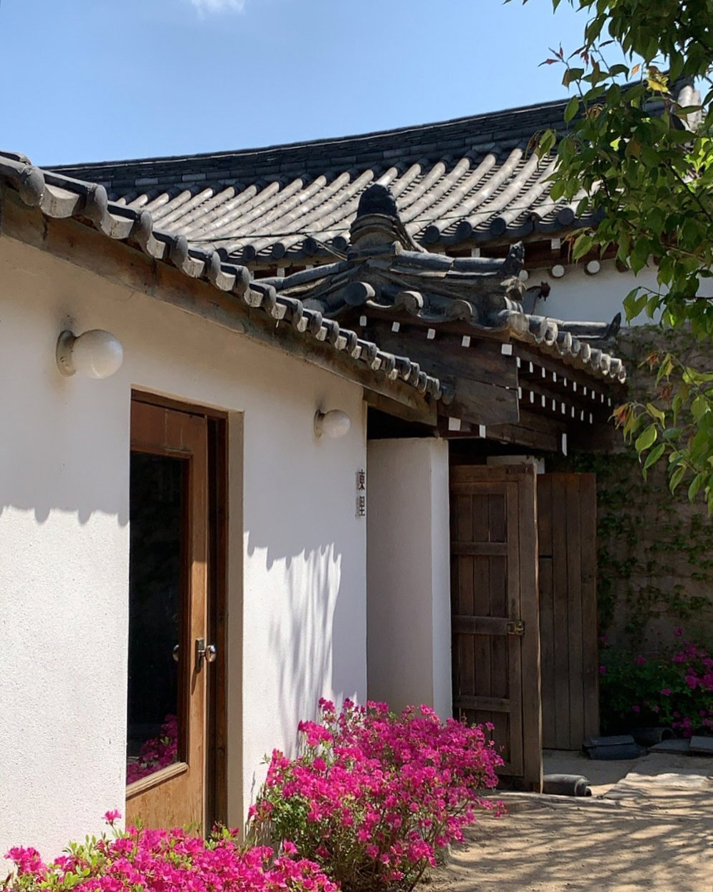 0d13015990693b996a98199f3a5af898_1762700580_12.jpg 0d13015990693b996a98199f3a5af898_1762700580_12.jpg