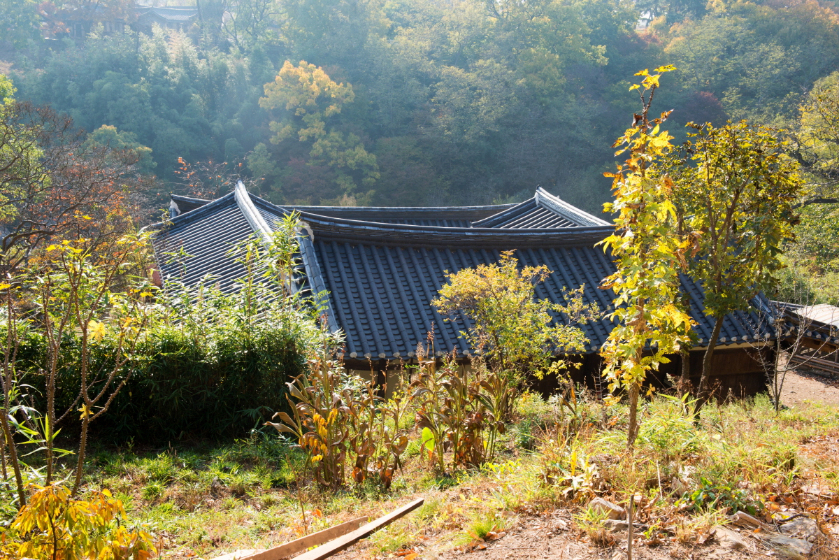 0dd259fc1abff15a51d0195342de9934_1763369788_67.jpg 0dd259fc1abff15a51d0195342de9934_1763369788_67.jpg