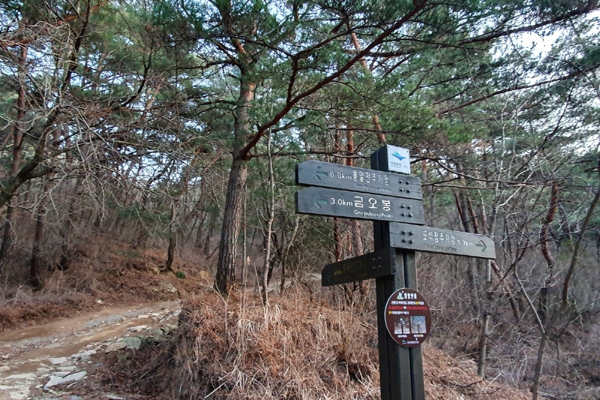 176a264928361d61c8d392f156ff0287_1763061592_81.jpg 176a264928361d61c8d392f156ff0287_1763061592_81.jpg