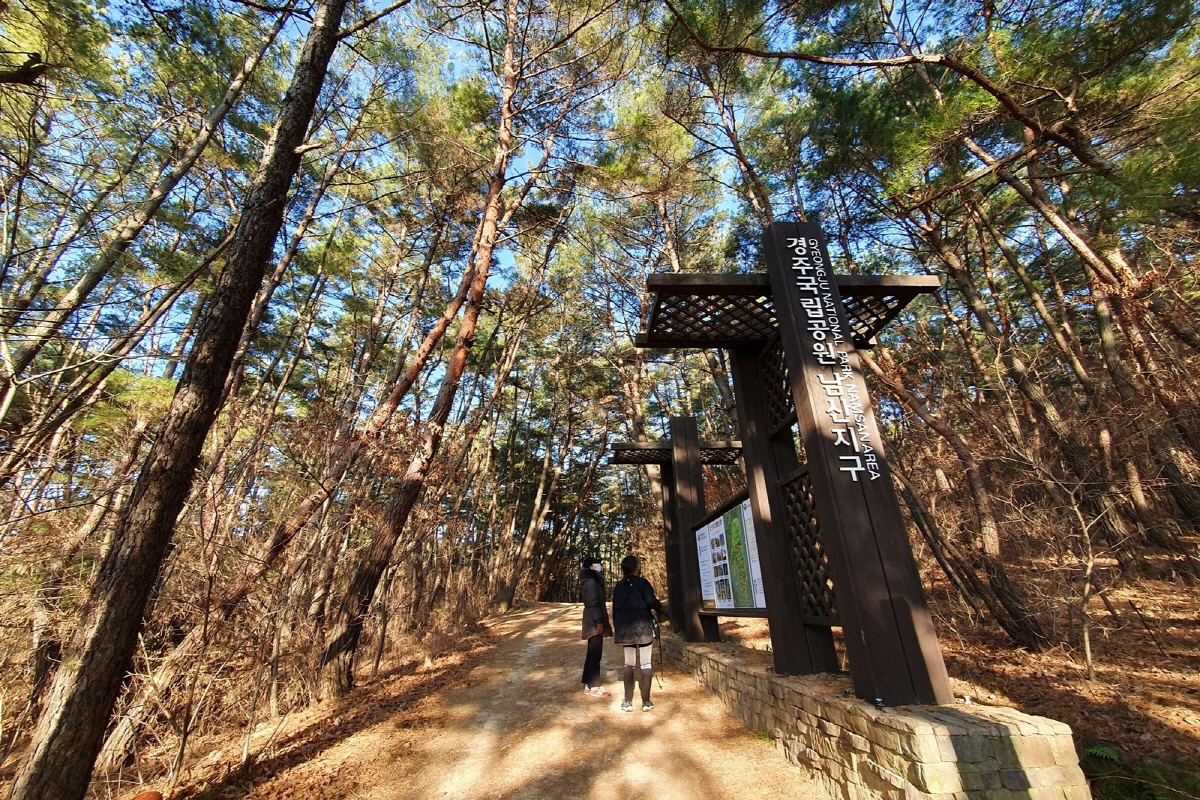 176a264928361d61c8d392f156ff0287_1763061594_67.jpg 176a264928361d61c8d392f156ff0287_1763061594_67.jpg