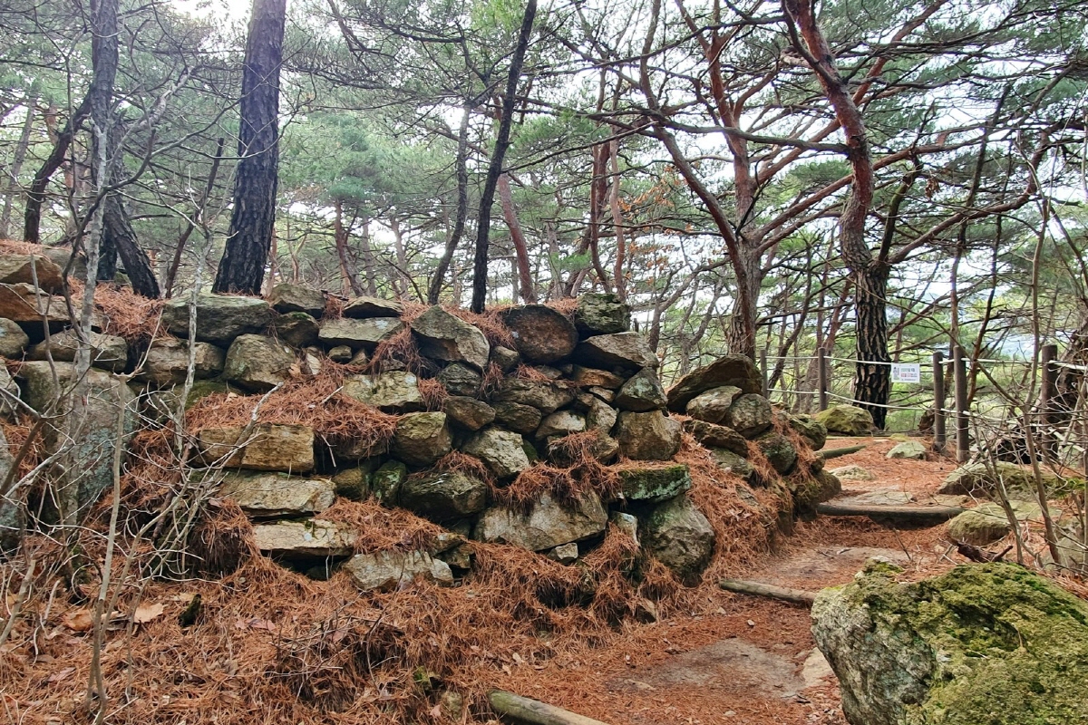 176a264928361d61c8d392f156ff0287_1763069634_42.jpg 176a264928361d61c8d392f156ff0287_1763069634_42.jpg